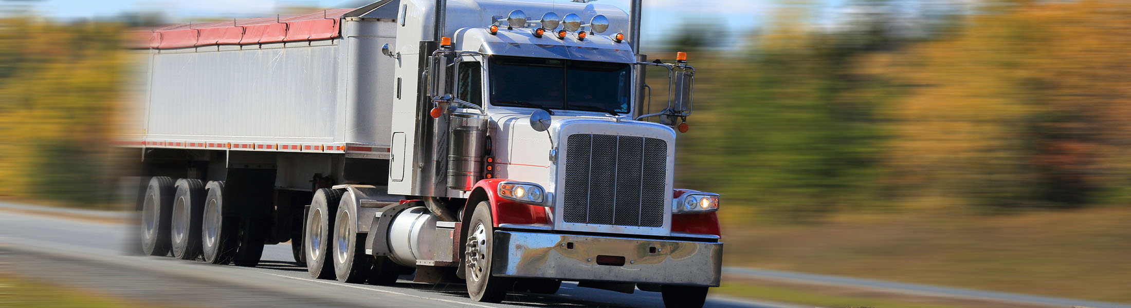 Mike's Trucking Ltd fleet